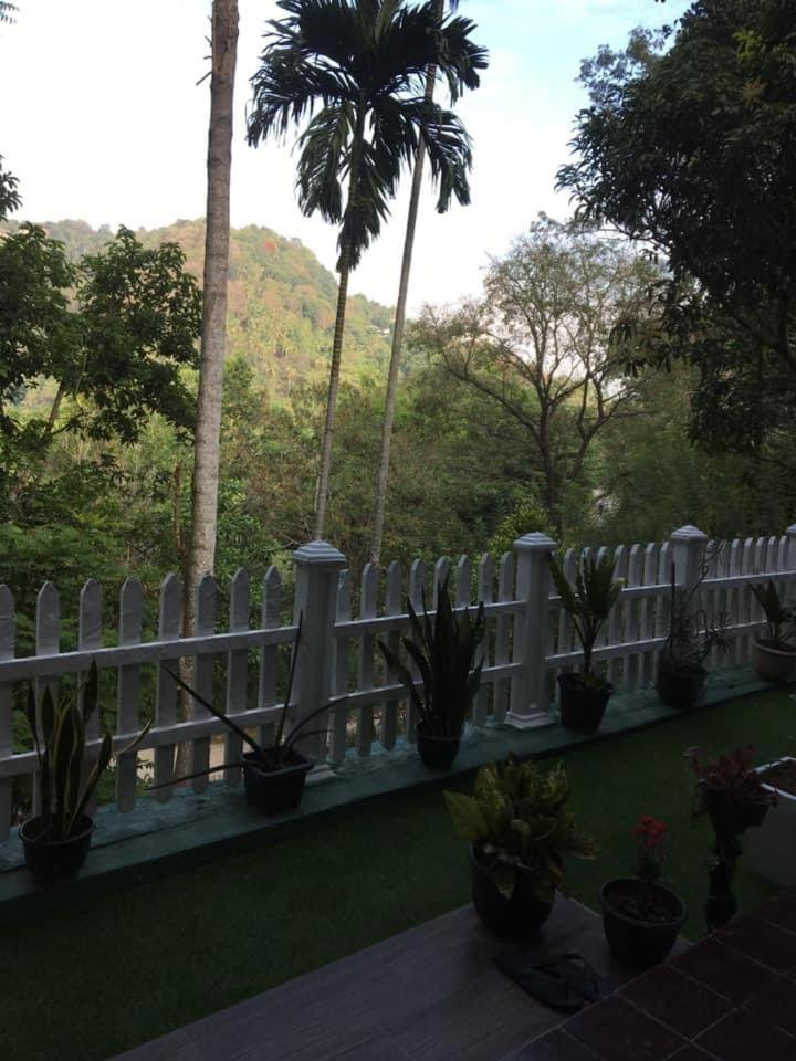 Villa25 Homestay Free Pick Up From The Centre 캔디 외부 사진
